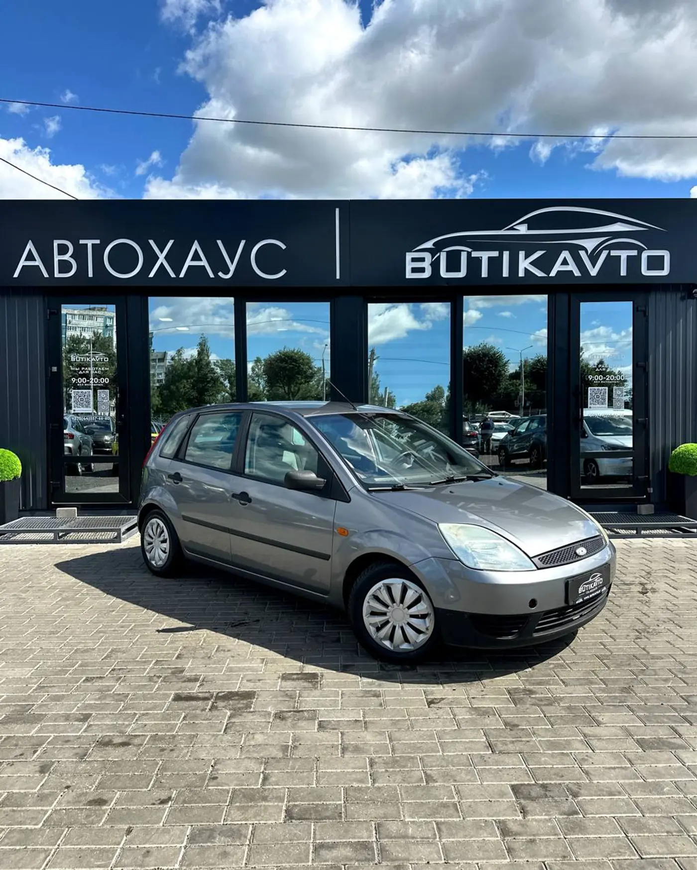 Ford Fiesta ST V, 2002