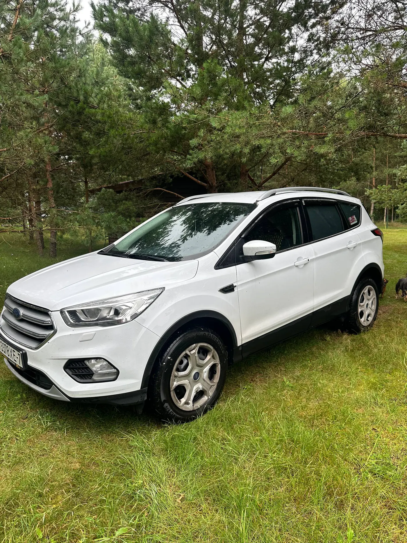 Ford Kuga II Рестайлинг, 2019