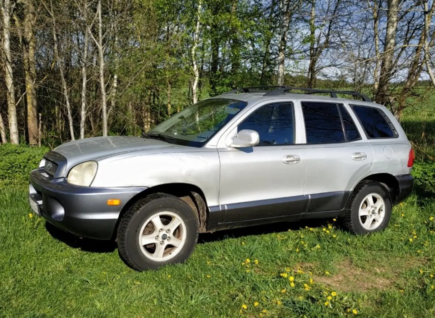 Hyundai Santa Fe I, 2003