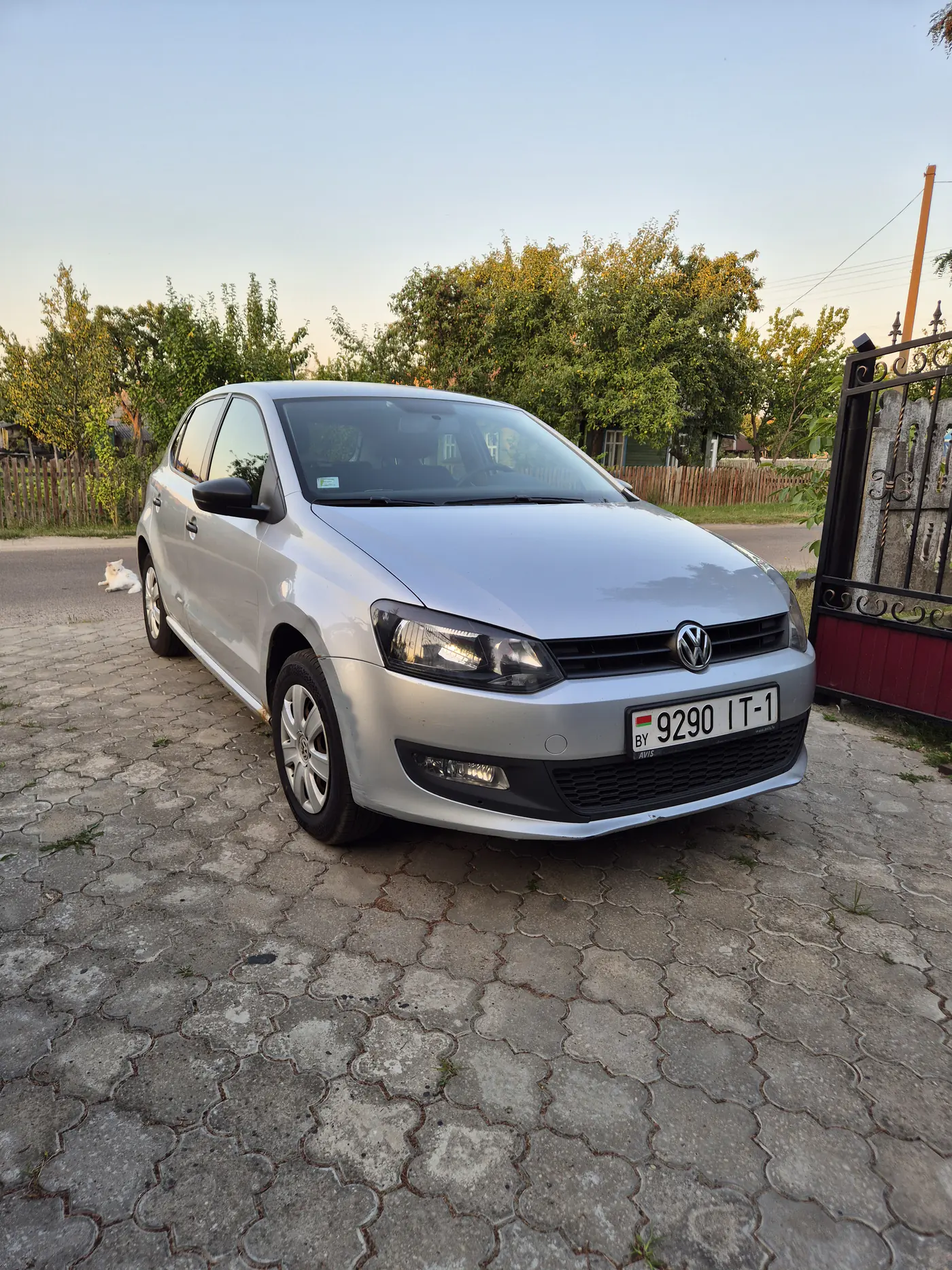 Volkswagen Polo V, 2011