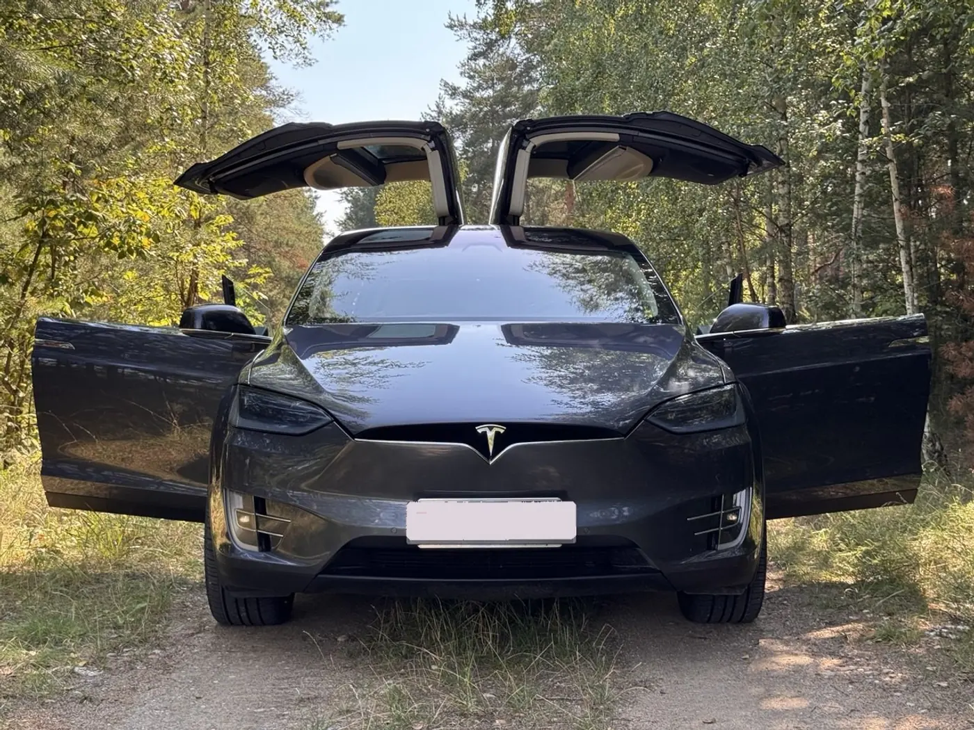 Tesla Model X I, 2017