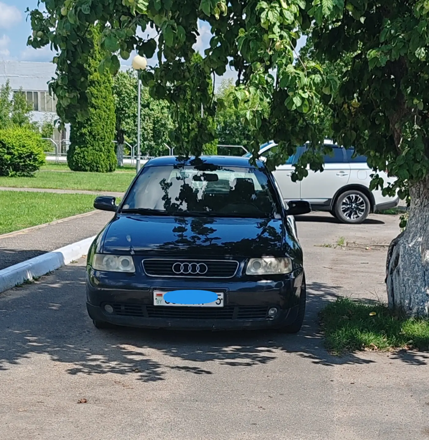Audi A3 I (8L) Рестайлинг, 2002