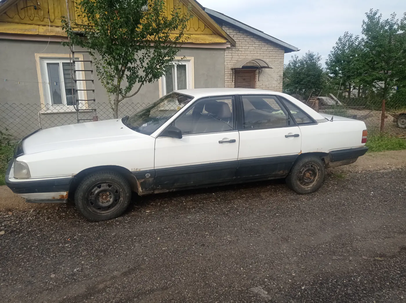 Audi 100 III (C3), 1985
