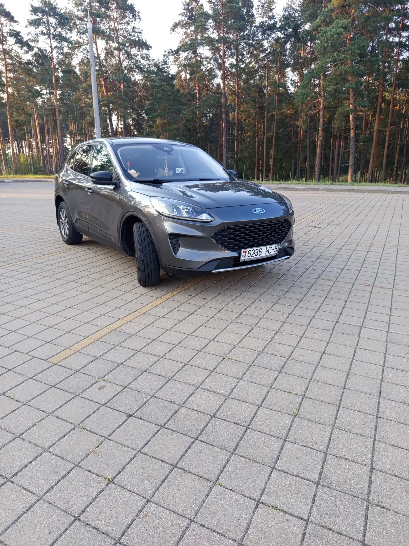 Ford Escape III Рестайлинг, 2019