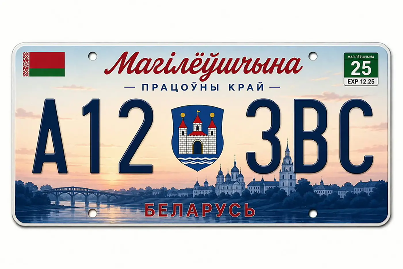Герб города и техосмотр на номере: в соцсетях предложили изменить дизайн автономеров