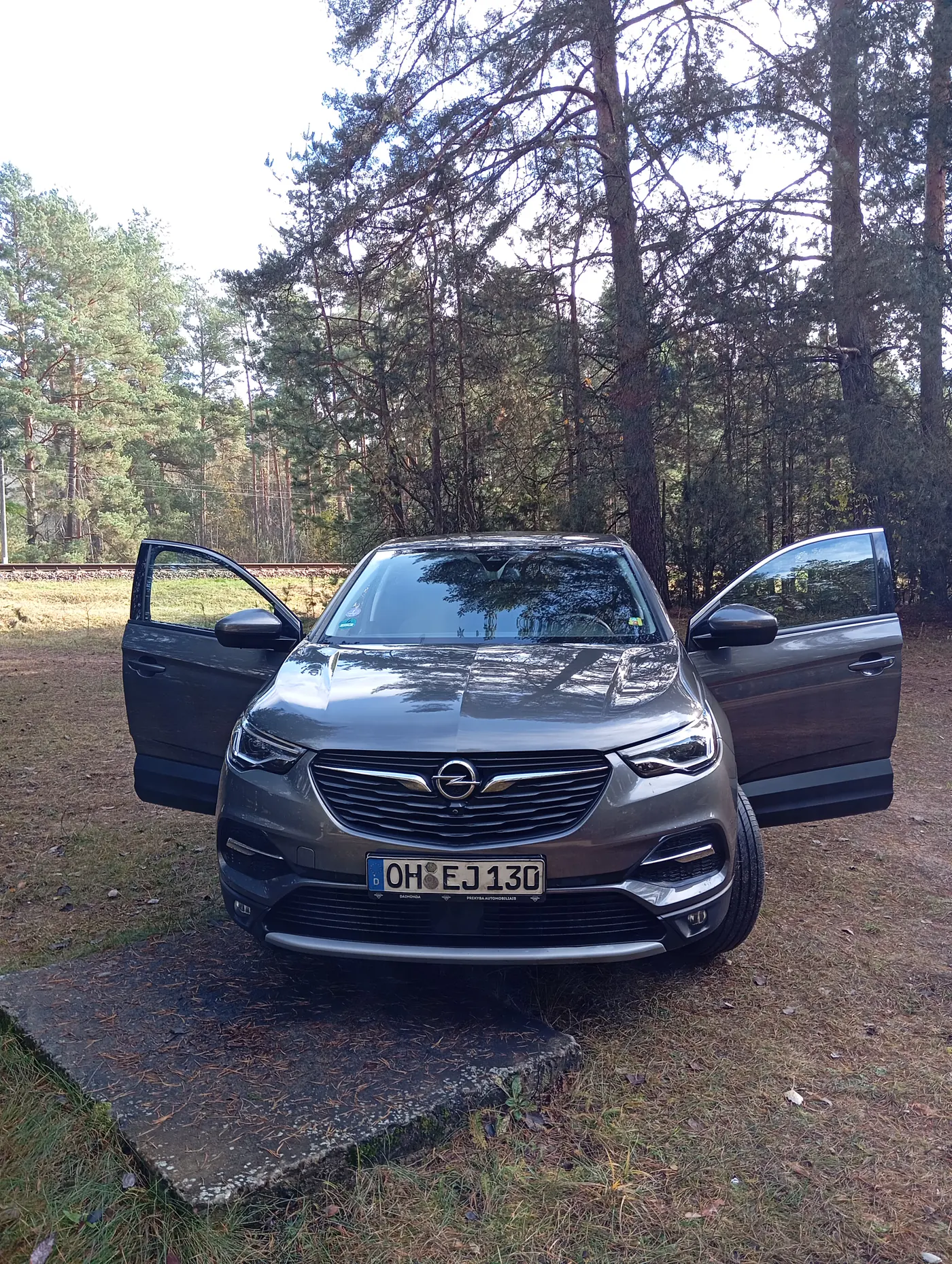 Opel Grandland X I, 2021