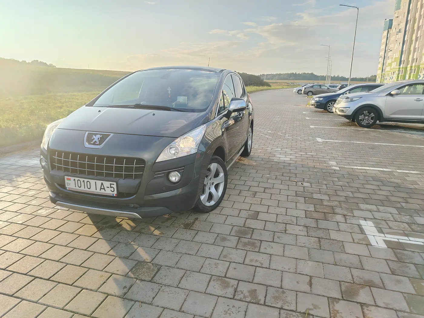 Peugeot 3008 I, 2013
