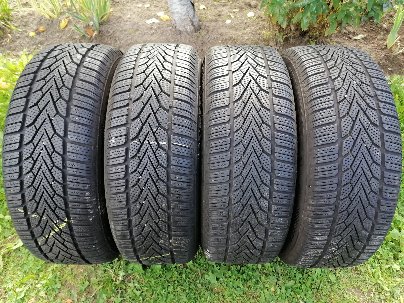 R16 215 60 Semperit Speed-Grip 2