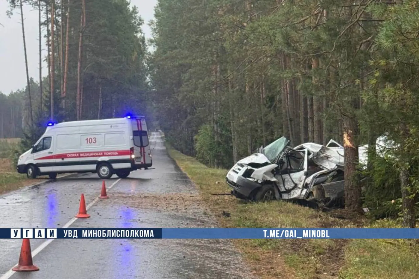 Ford разбился о дерево в Смолевичском районе – водитель погиб