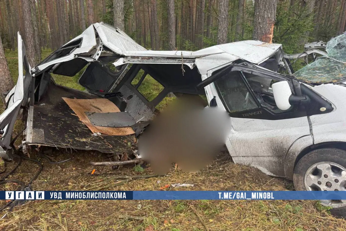 Ford разбился о дерево в Смолевичском районе – водитель погиб