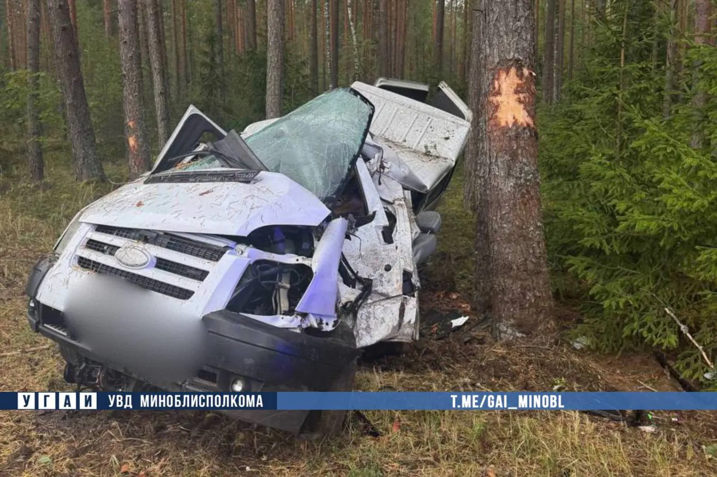 Ford разбился о дерево в Смолевичском районе – водитель погиб