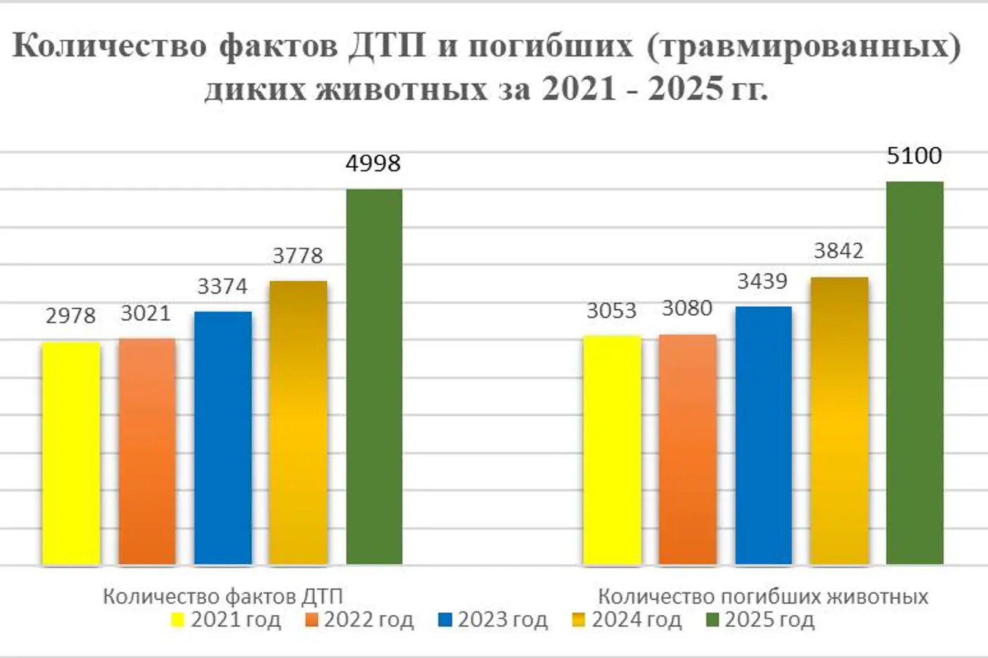 ДТП с дикими животными в Беларуси продолжают расти – названы самые опасные трассы