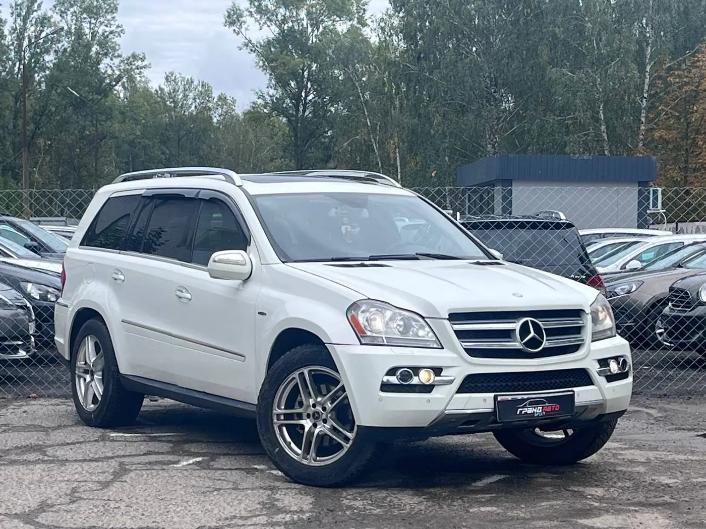 Mercedes-Benz GL-klasse I (X164) Рестайлинг, 2010