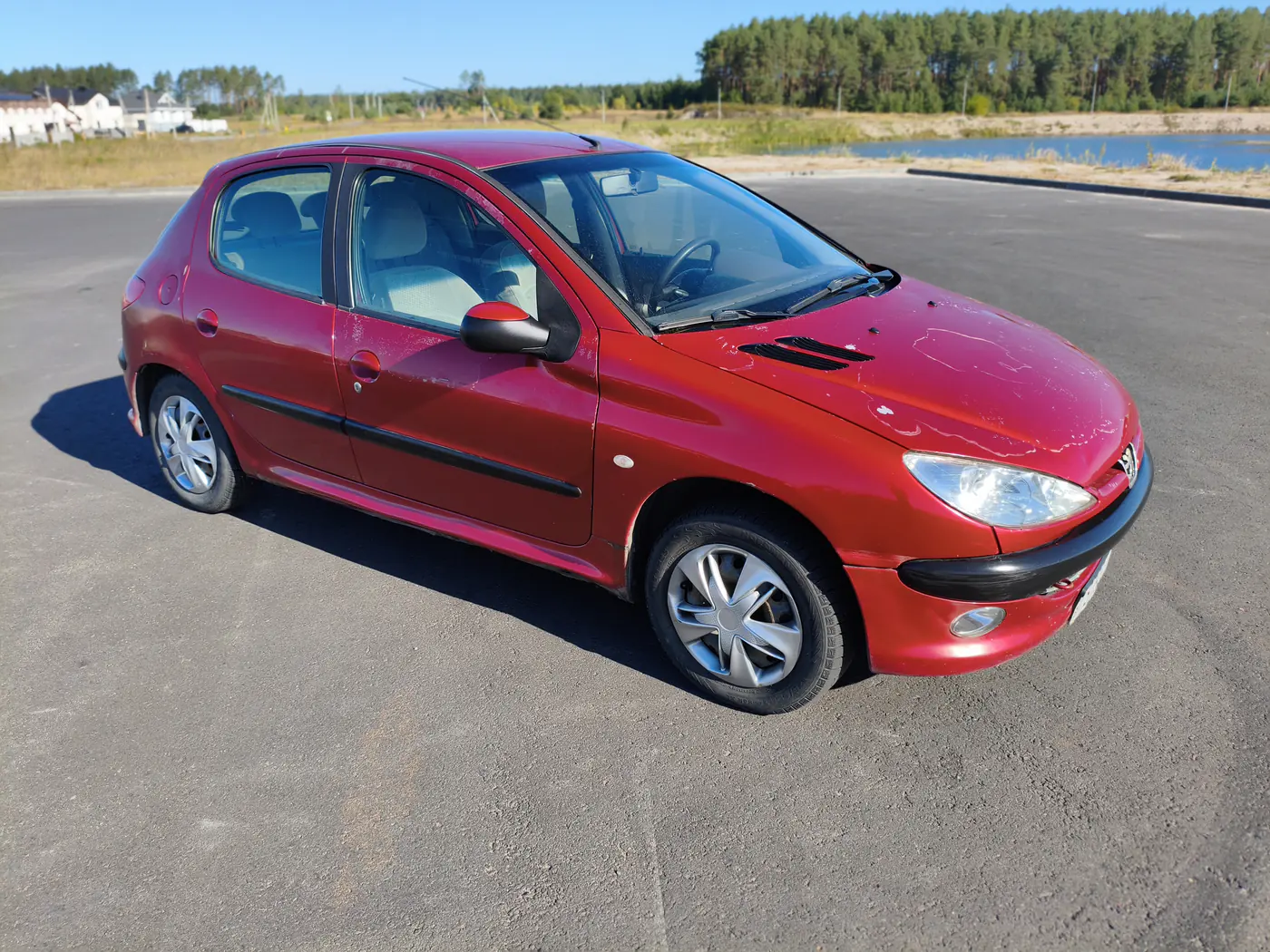 Peugeot 206 I, 2004