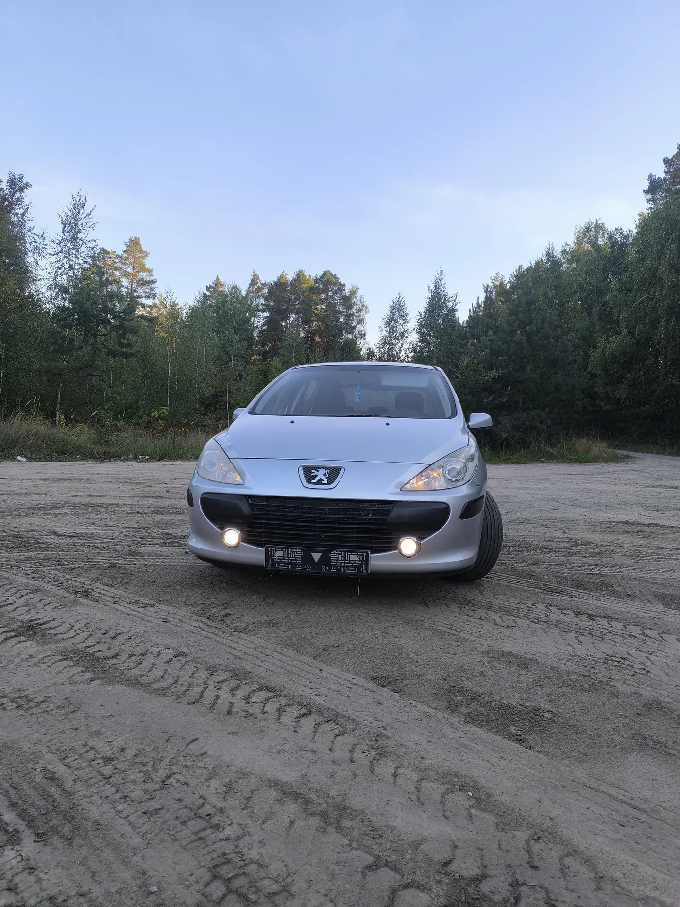 Peugeot 307 I Рестайлинг, 2006