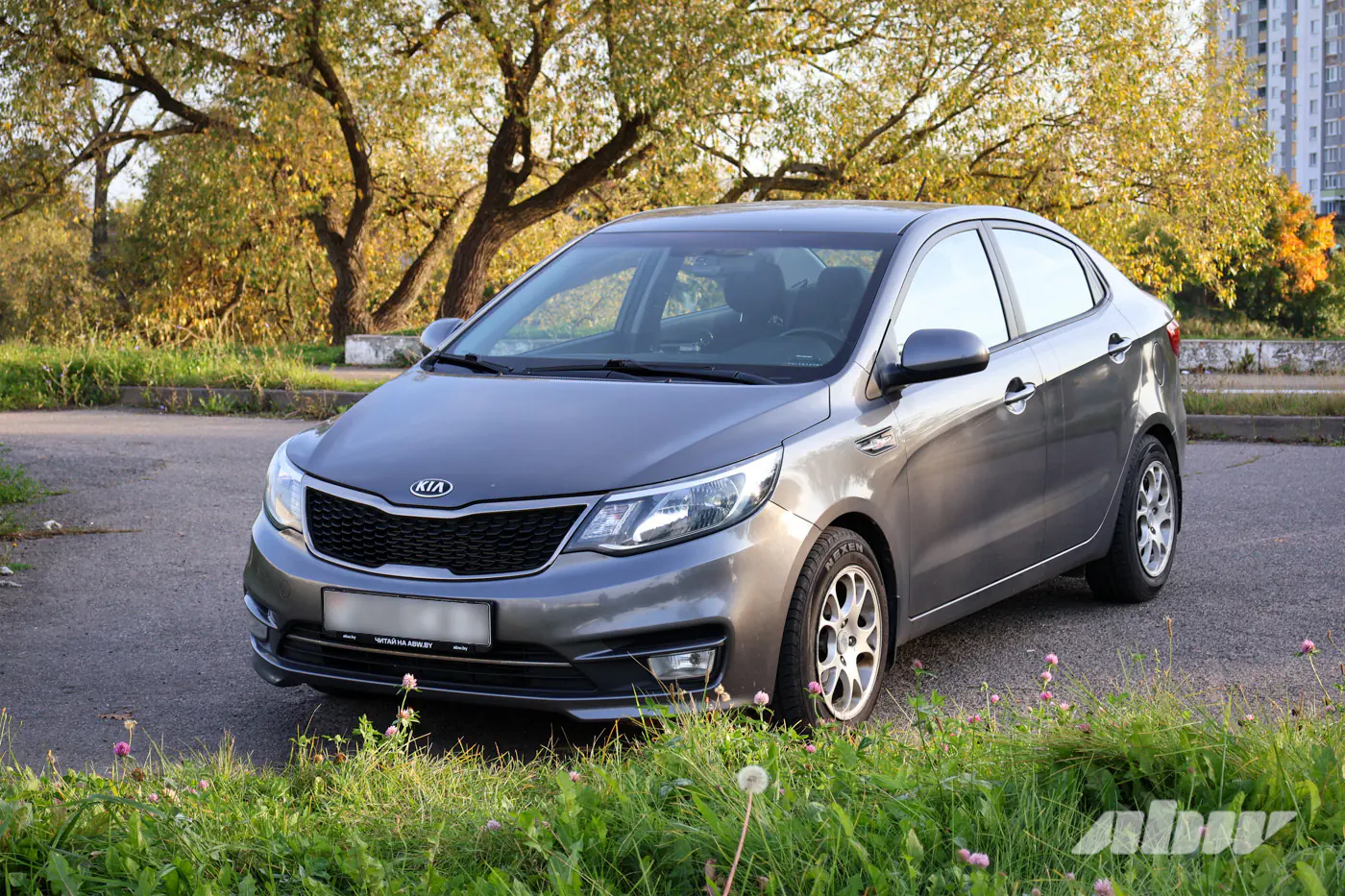 «Плюсов оказалось больше, чем минусов»: мнение владельца Kia Rio