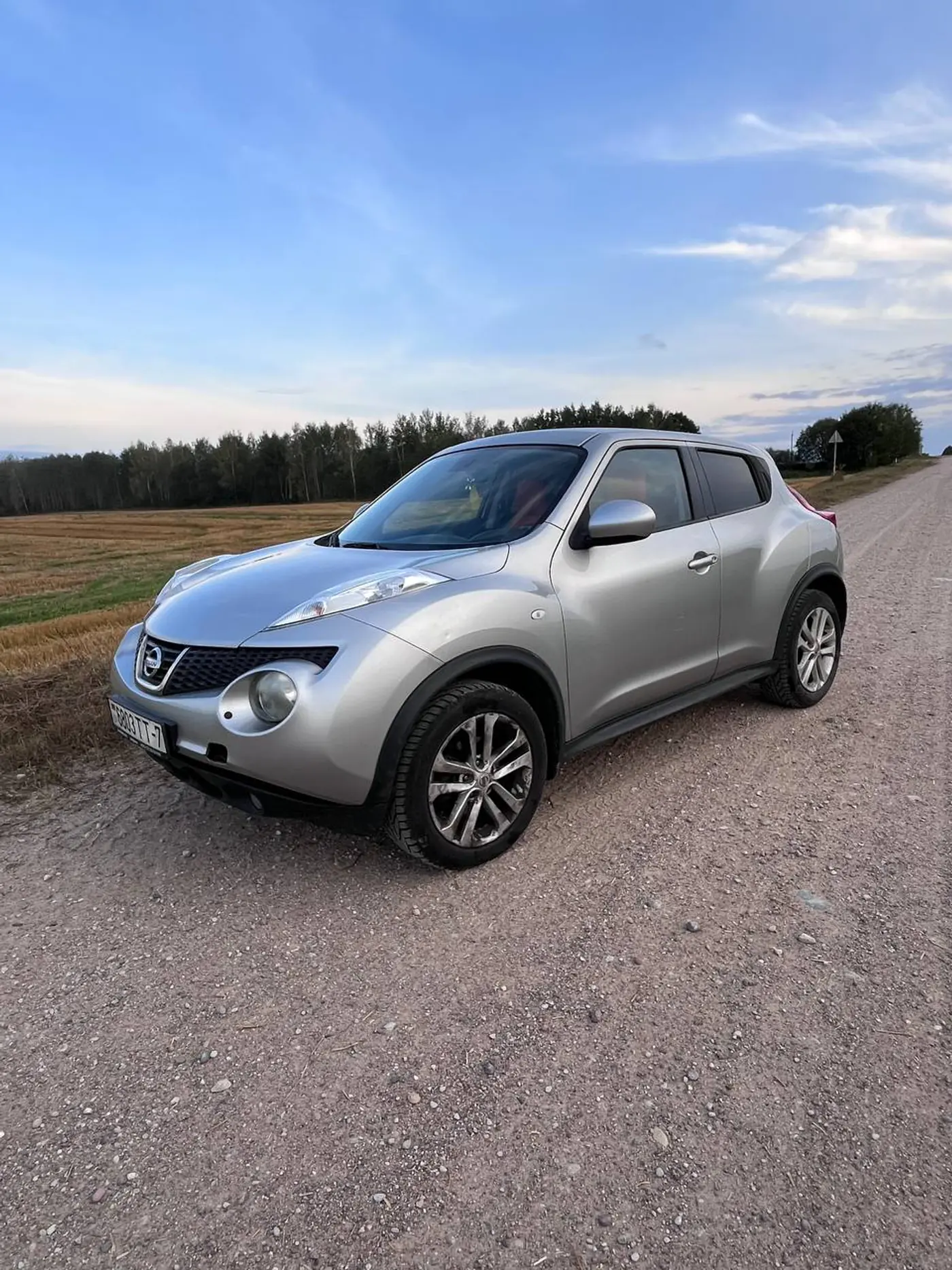 Nissan Juke I, 2012