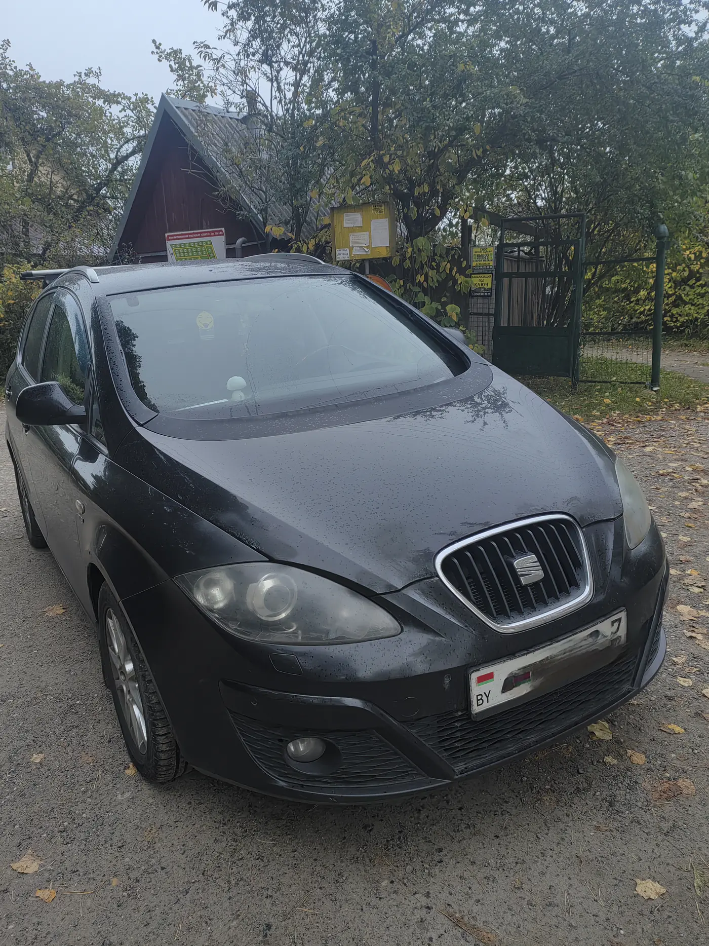 SEAT Altea I Рестайлинг, 2010