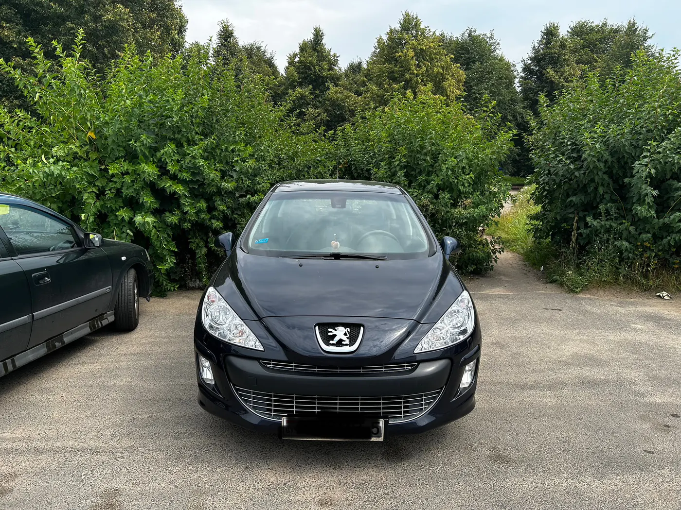 Peugeot 308 I, 2010